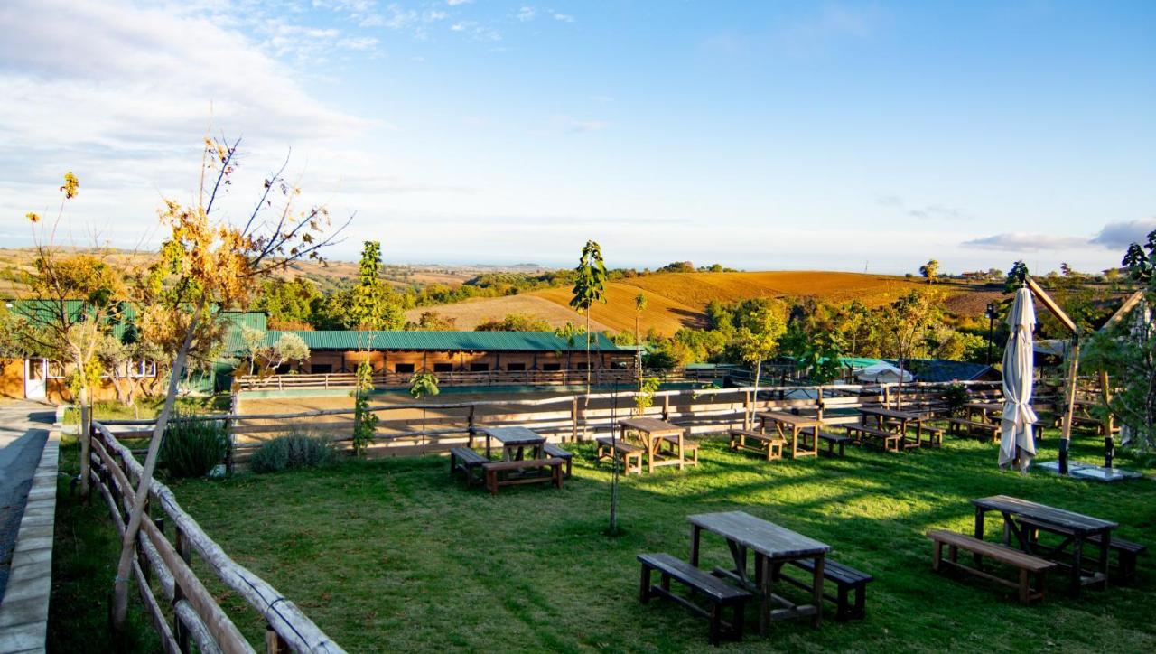 Hotel 3 Hills Boutique - The Ranch Experience à Trilofos Extérieur photo